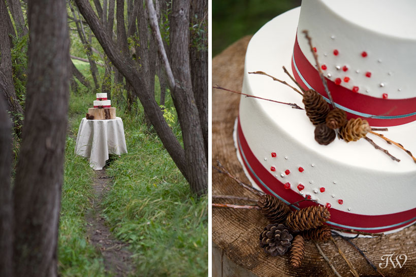 lake-louise-wedding-photographer-chateau-lake-louise-rustic-wedding-cake