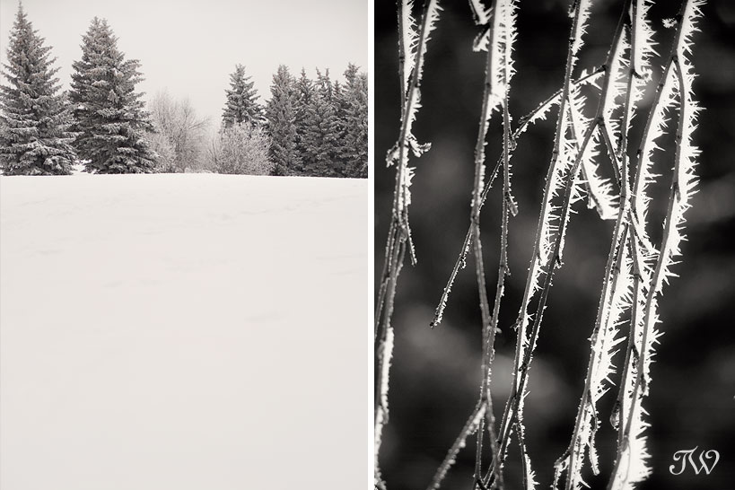 winter_scenes_calgary