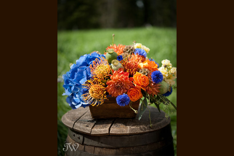 orange and blue bouquet photographed by Tara Whittaker