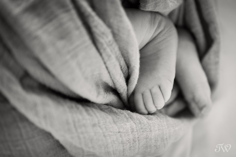 calgary-baby-photographer-Tara-Whittaker-Photography-01