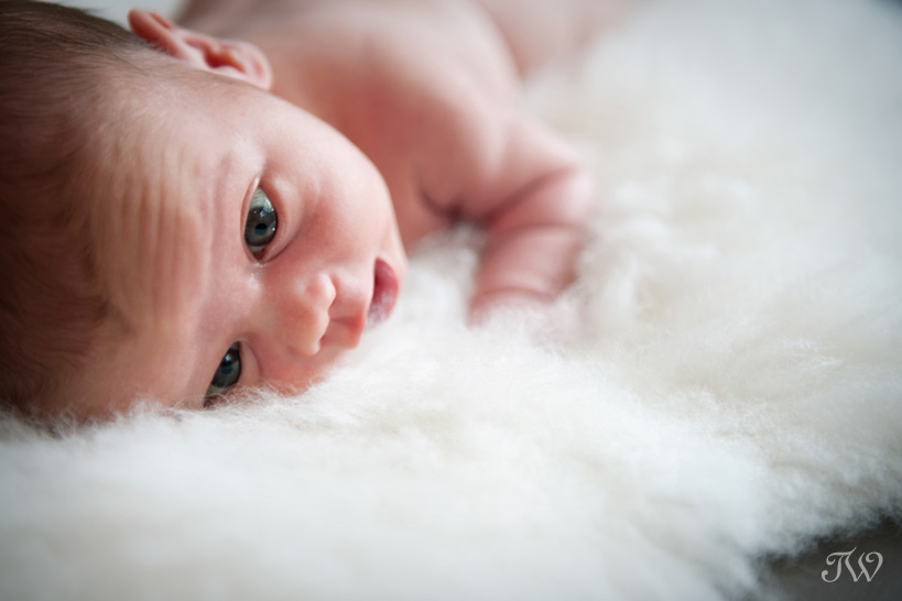 baby-picture-calgary-newborn-photographer-09