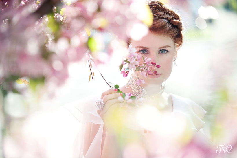 bridal photography in pink cherry blossoms Tara Whittaker Photography