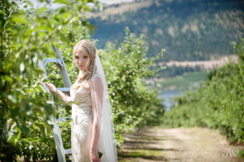 bride in an orchard Tara Whittaker Photography