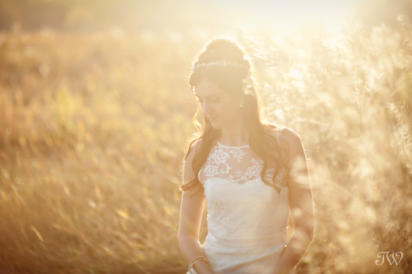 fall bride in a field Tara Whittaker Photography
