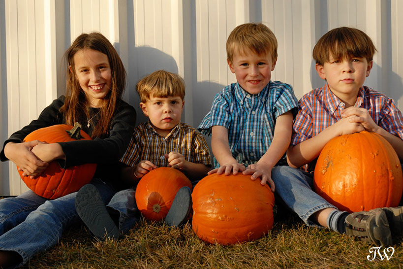 4 kids with pumpkins on a Calgary photography blog