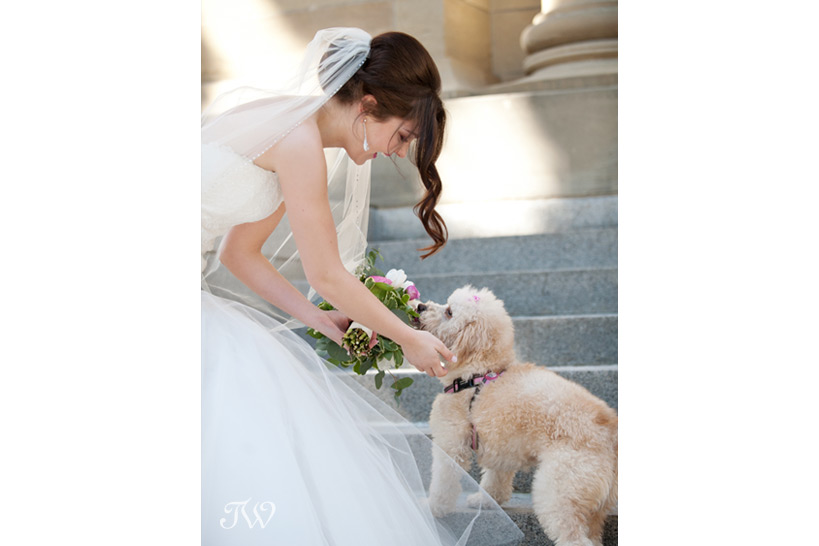 bride pets a puppy Tara Whittaker Photography