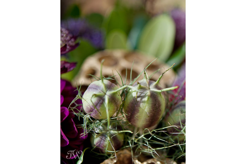 fall-flowers-Tara-Whittaker-Photography-01