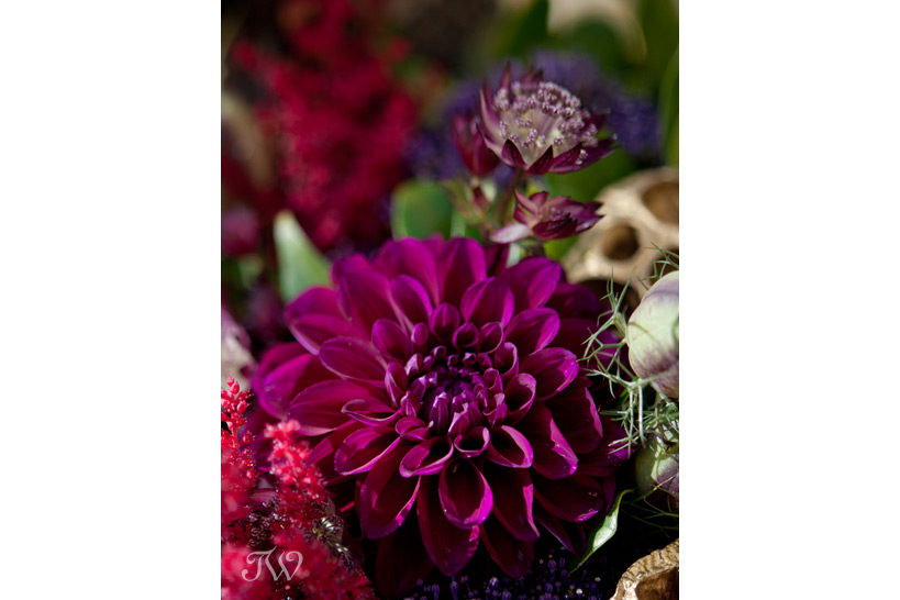 Purple Dahlia perfect flower for a fall wedding captured by Tara Whittaker Photography