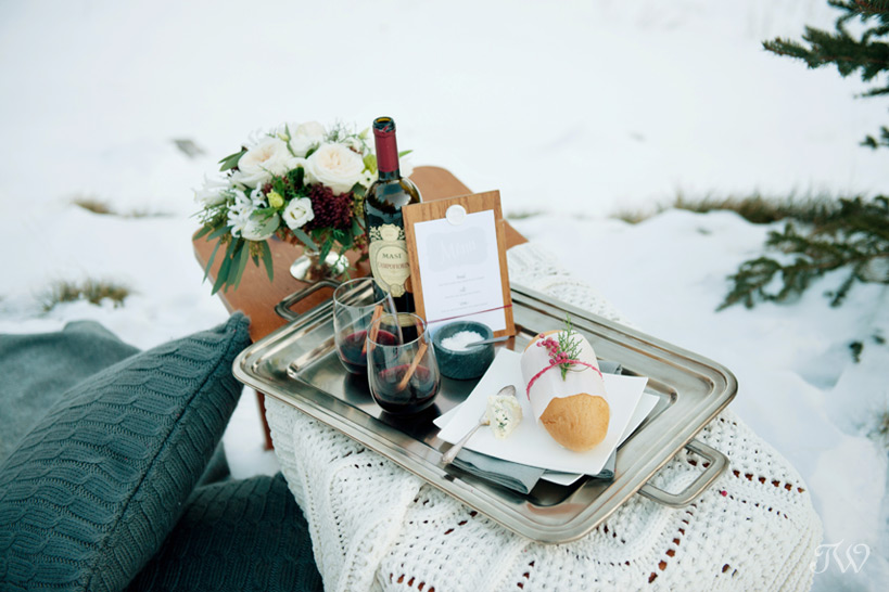 winter picnic captured by Tara Whittaker Photography