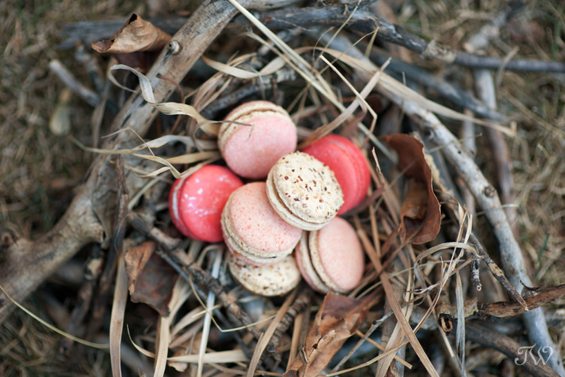 DIY projects a nest of macarons captured by Tara Whittaker Photography
