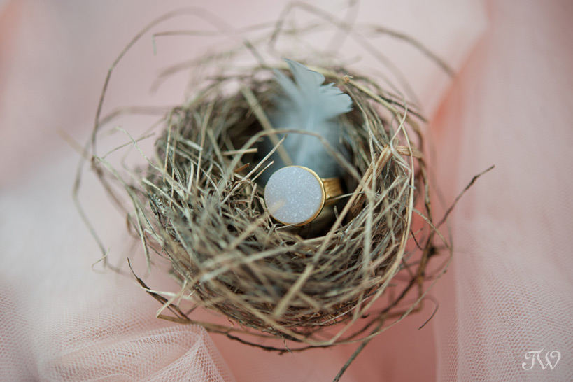 ring from Adorn Boutique in a nest captured by Tara Whittaker Photography