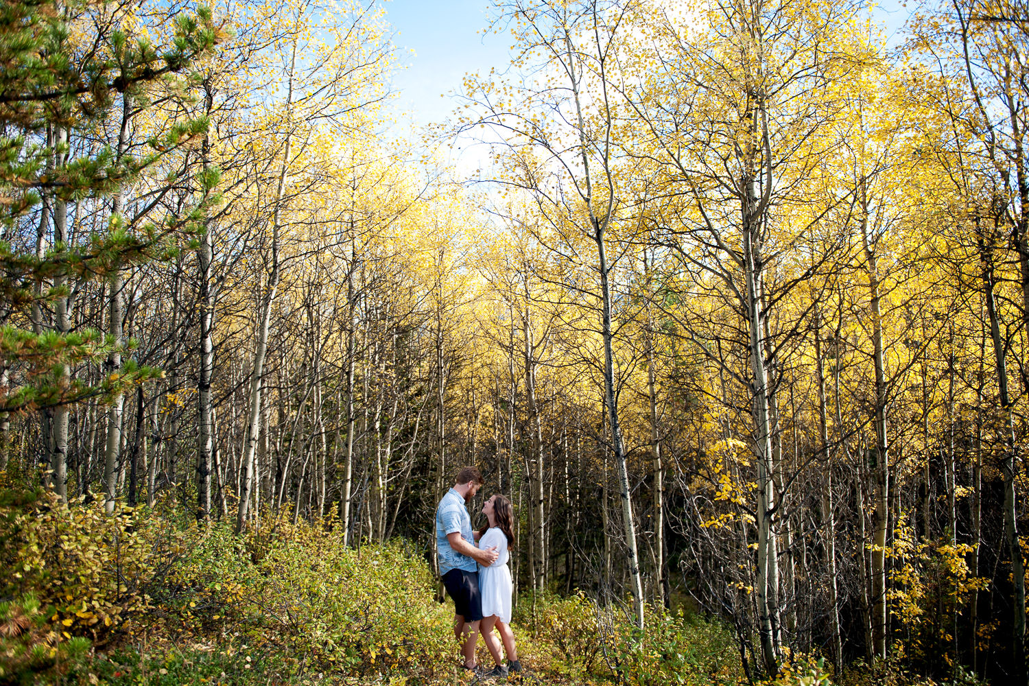 couple with yellow trees in autumn captured by Tara Whittaker Photography