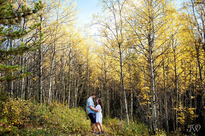 couple amongst the autumn leaves captured by Calgary wedding photographer Tara Whittaker