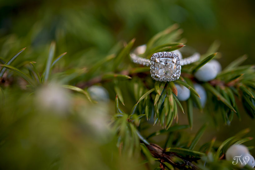 diamond engagement ring captured by Calgary wedding photographer Tara Whittaker