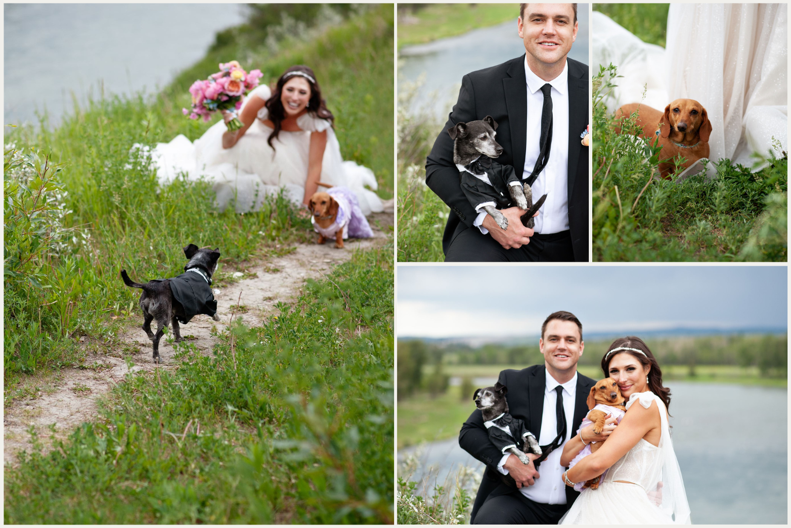 Bride and groom's first look wedding photos with their puppies at Fish Creek Park Calgary