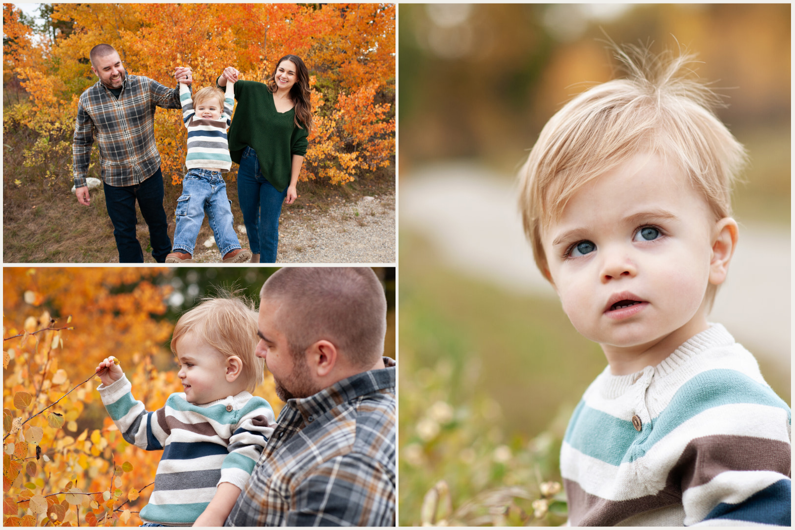 Fall photoshoot in Calgary for families and newborns, captured by Tara Whittaker Photography